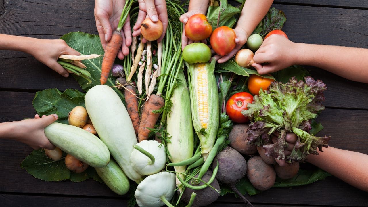 cooperative agricole